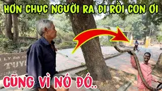 Miền tây Hơn Chục Mạng Người Ra Đi Mãi mãi - chú hai 7 núi kể lại...