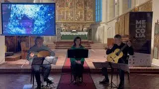 Concert integral MELANCOLIA la Orgelsommer Mediaș