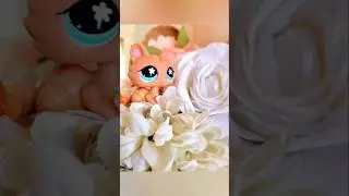 👀When I spot a nice spot for lps photography and nobody's around👀