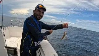 PESCARIA EM ALTO MAR NO PARANÁ - SAIU UMA LINDA GAROPA