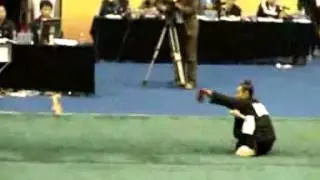 Wudang Wudao Master Qing Feng Zi - Zi Wu Rong - Competition Performance