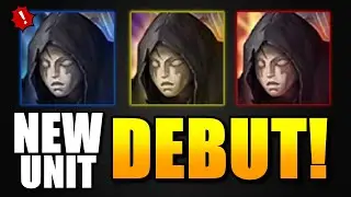 Are The NEW Tomb Wardens Must-Build 4* In Summoners War?