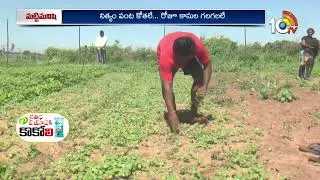 ఏటిఎం విధానంలో.. 20 సెంట్లలో 30 రకాల పంటల సాగు | ATM Cultivation | Agriculture Farming | 10TV
