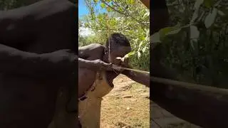 Deer Hunting with Bow & Arrow😱😱|African Tribal Survival Shorts #hunting #shortfilm #short