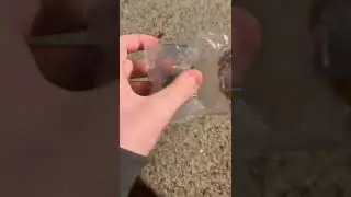 Divine Belial3 #asmr Unboxing from beyblade Premier