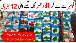 winter 12 vegetables List to grow From November To last week of December at home garden