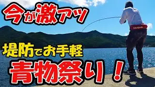 青物釣り初心者でも堤防で手軽に青物が釣れる！夏のスーパーライトショアジギングが超おすすめ！！