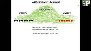 Molecular Plant Breeding & Data Analysis: Methods & Applications (Part 2)