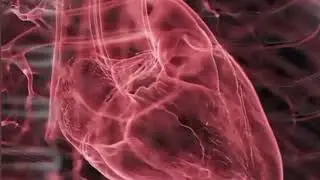 Scientist Pinpoint How Many Hours' Sleep Will Increase Your Risk Of Heart Disease 