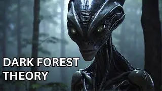 The Dark Forest Theory: Unveiling the Alien Silence