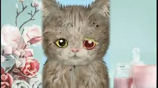 [ASMR Animation] Treating Cats Infected With Parasites | Ear Cleaning | Eye Infect Removal |Cat Car