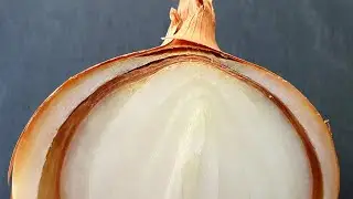 Onion with two skin layers