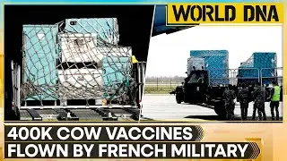 Lumpy Skin Disease: French Army Plane Delivers 400,000 Cattle Vaccines | WION World DNA