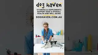 Vitamins & Supplements support dog's overall health and well-being.