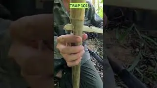 snare trap, Hunting wild chicken, Camping ,Survival Camping ,BUSHCRAFT fishing, hunting, trapping,