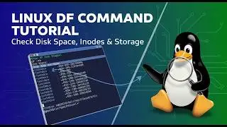 Linux df Command Tutorial: Check Disk Space, Inodes & Storage
