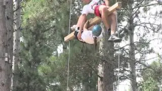 Team Ladder