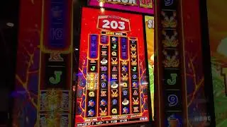 Stack up pays slots mega bonus