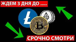 👑 ARE YOU EXPECTING A COLLAPSE, BUT EVERYTHING WILL BE DIFFERENT? ✅ URGENTLY LOOK AT THE ALTCOIN ...