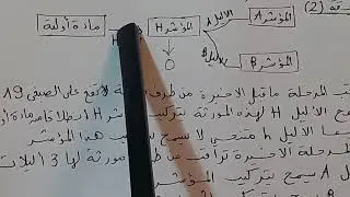 2ع ت/ دور الالقاح في تنوع الافراد (كيف لاباء زمرة  O انجاب ابناء زمرة AوزمرةB ؟؟؟)