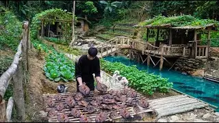 Catching Fish and Making Smoked Fish to Trade for Ducklings | Off-Grid Life