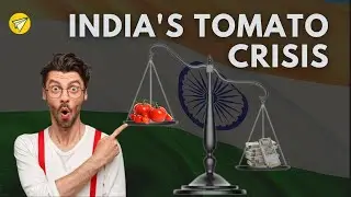 The Indian Tomato Crisis 🍅 When will prices finally decline? |Startup Culture|