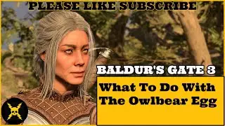 Baldur's Gate 3: What To Do With The Owlbear Egg?