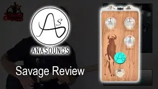 Anasounds Savage review
