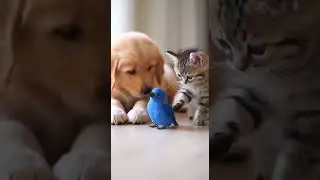 Puppy and Kitten Meet Their New Parrot A Heartwarming Surprise #pets #cute #animals