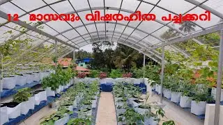 Rain shelter farming