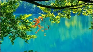 Instant Stress Relief from Nature 🌿 Healing Music for Heart & Soul | 4K Nature Film
