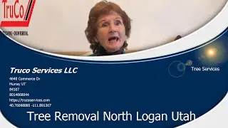 Tree Trimming North Logan Utah