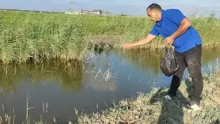 ده صيد الدره اللى على حق وطلعنا السمك من جحره