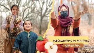 Kashmiri Seb Ka Safar Jis Mehnat Ne Inhe Meetha Banaya 🍎✨/Struggles/ #kashmir #vlog #youtube 