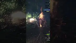 双剣 vs ランス #shorts #mhwib