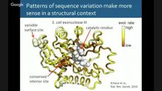 Phyloseminar #57: Claus Wilke (UT Austin)