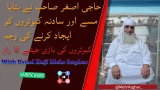 MISSAY AUR SAADNA NASSL KO IJAD KRNAY KI WAJA