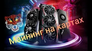 Ergo как майнить. Запуск на примере ERGO