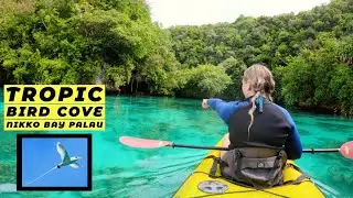 Tropic Bird Cove and Ngetelou Isle Palau | Kayaking Nikko Bay Palau | Paddling Palau