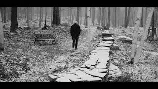 Golden Days - Graham Nash Legendado PT-BR