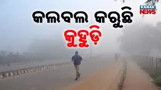 Dense Fog Engulfs Capital Today | Visibility Drops To 50 Meters, Traffic Affected