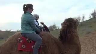 Exotic trip to the Yurt Camp Aydar