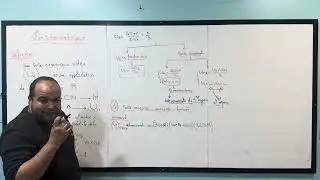 1BAC SC MATHS || Les suites numériques ||cours  partie 01: minorée - majorée - bornée - la monotonie