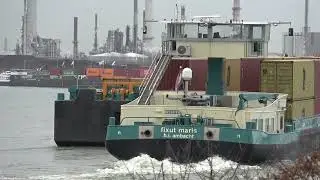 FIXUT MARIS   (Koppelverband)