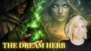 Mugwort: Dream Herb of the Ancients
