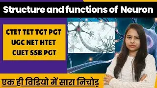 Neuron structure and functions part-1