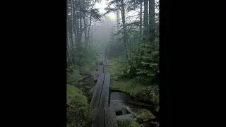 breakcore + tokyopill type beat 