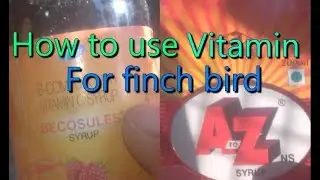 finch bird ko vitamin kaisa use karai ,,