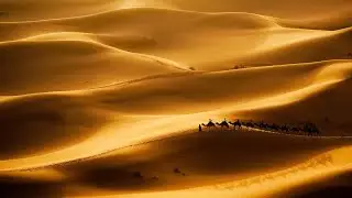 Top 5 Most Beautiful Deserts in the World