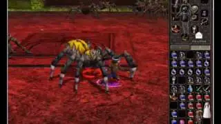 Metin2 Boss Spinne